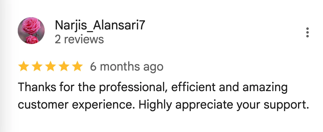 Customer Review 11